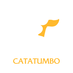 Logo Quesos Catatumbo